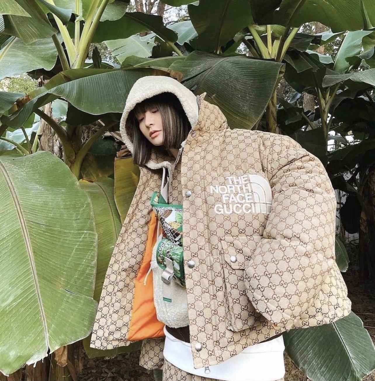 The North Face x Gucci Collection is Going to Take Over Street